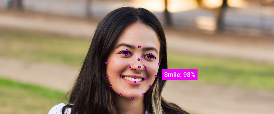An example of an annotated emotion image, where the face is annotated using keypoints.