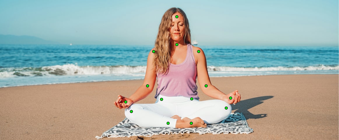 An example of a human pose estimation, where the person’s body is annotated using keypoints.